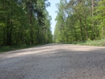 drogi_lesne-7